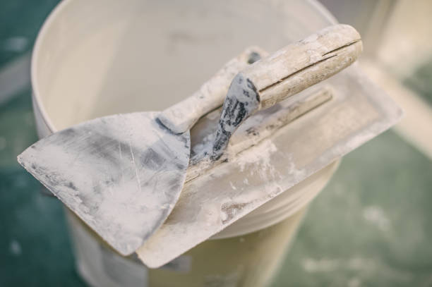 Best Mold Documentation for Insurance Claims  in Locust, NC