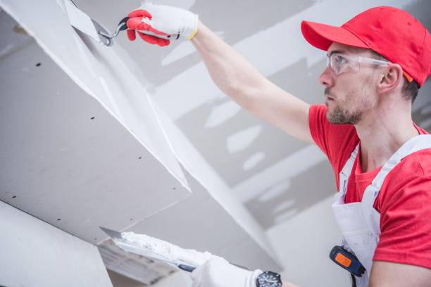 Best Industrial Mold Remediation  in Locust, NC